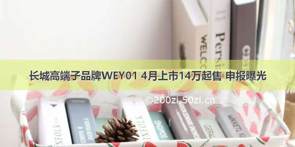 长城高端子品牌WEY01 4月上市14万起售 申报曝光
