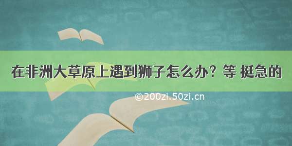 在非洲大草原上遇到狮子怎么办？等 挺急的