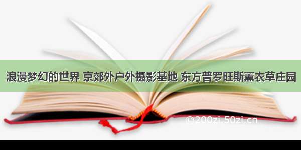 浪漫梦幻的世界 京郊外户外摄影基地 东方普罗旺斯薰衣草庄园