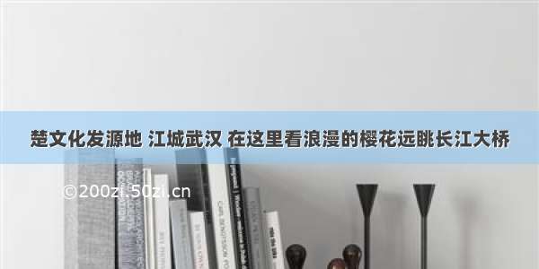 楚文化发源地 江城武汉 在这里看浪漫的樱花远眺长江大桥