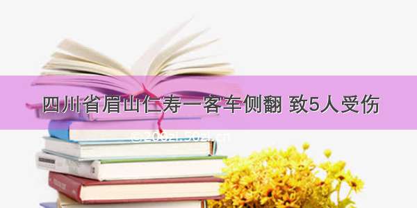 四川省眉山仁寿一客车侧翻 致5人受伤