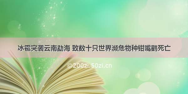 冰雹突袭云南勐海 致数十只世界濒危物种钳嘴鹳死亡