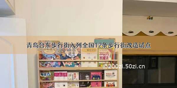 青岛台东步行街入列全国12条步行街改造试点