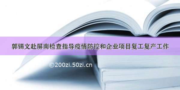 郭锡文赴屏南检查指导疫情防控和企业项目复工复产工作