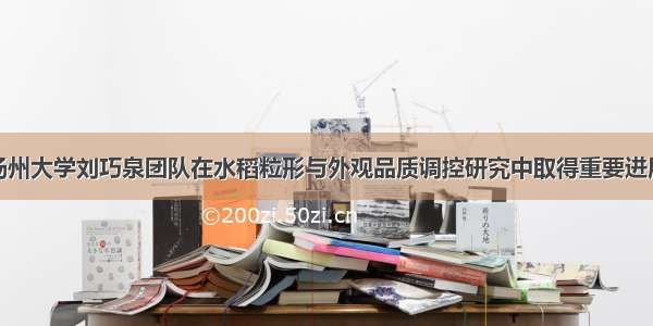 扬州大学刘巧泉团队在水稻粒形与外观品质调控研究中取得重要进展