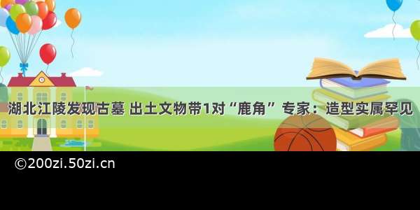 湖北江陵发现古墓 出土文物带1对“鹿角” 专家：造型实属罕见