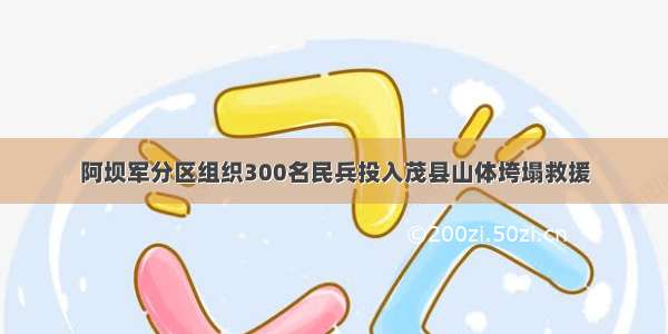 阿坝军分区组织300名民兵投入茂县山体垮塌救援