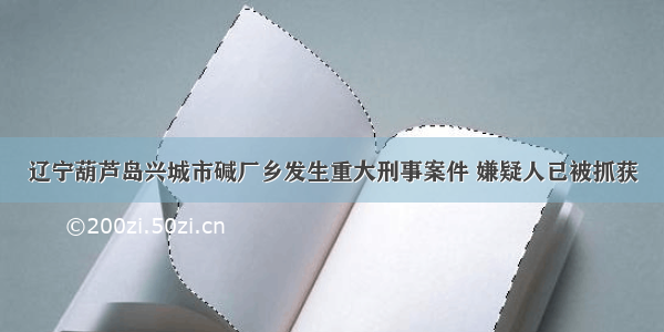 辽宁葫芦岛兴城市碱厂乡发生重大刑事案件 嫌疑人已被抓获