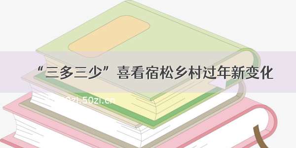 “三多三少”喜看宿松乡村过年新变化