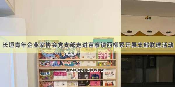 长垣青年企业家协会党支部走进苗寨镇西柳冢开展支部联建活动