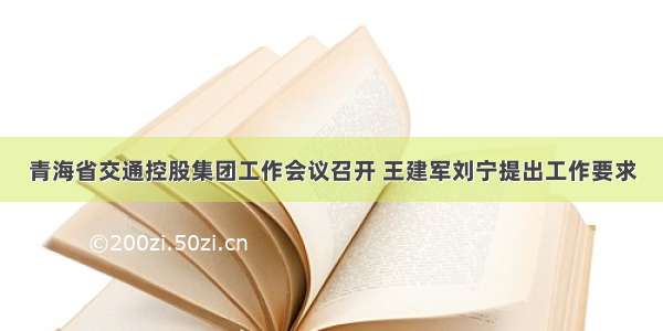 青海省交通控股集团工作会议召开 王建军刘宁提出工作要求
