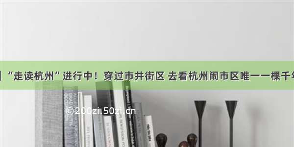 直播｜“走读杭州”进行中！穿过市井街区 去看杭州闹市区唯一一棵千年古树