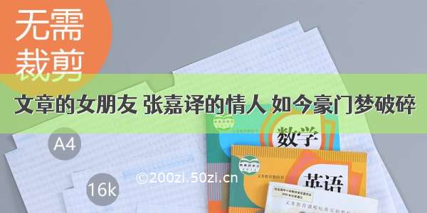 文章的女朋友 张嘉译的情人 如今豪门梦破碎