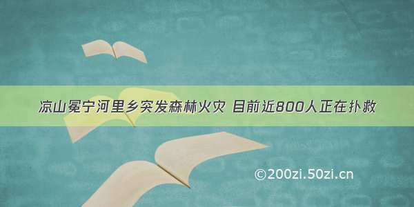 凉山冕宁河里乡突发森林火灾 目前近800人正在扑救