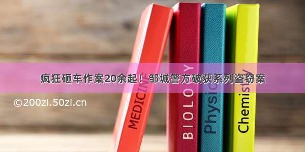 疯狂砸车作案20余起！邹城警方破获系列盗窃案