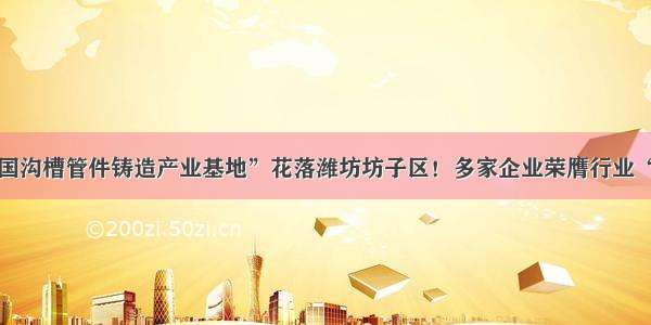 “中国沟槽管件铸造产业基地”花落潍坊坊子区！多家企业荣膺行业“桂冠”