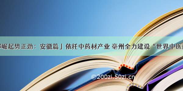 「中部崛起势正劲：安徽篇」依托中药材产业 亳州全力建设“世界中医药之都”