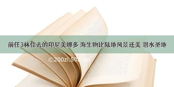 前任3林佳去的印尼美娜多 海生物比陆地风景还美 潜水圣地