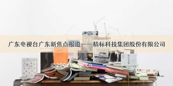 广东电视台广东新焦点报道——精标科技集团股份有限公司
