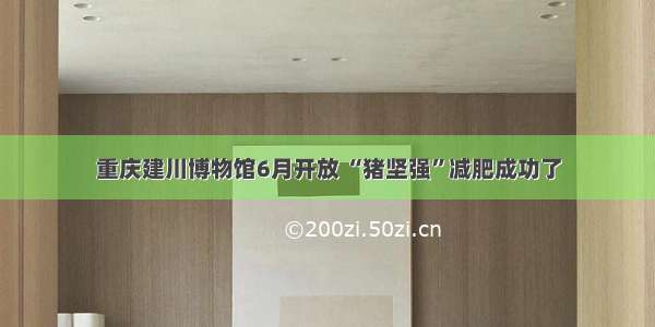 重庆建川博物馆6月开放 “猪坚强”减肥成功了