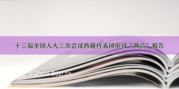 十三届全国人大三次会议西藏代表团审议“两高”报告