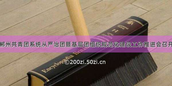 郴州共青团系统从严治团暨基层团组织规范化建设工作推进会召开