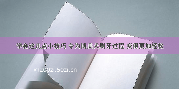 学会这几点小技巧 令为博美犬刷牙过程 变得更加轻松