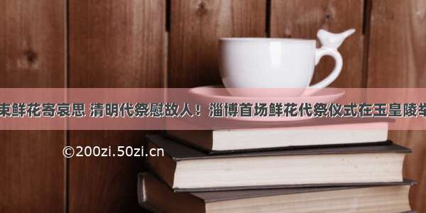 一束鲜花寄哀思 清明代祭慰故人！淄博首场鲜花代祭仪式在玉皇陵举行