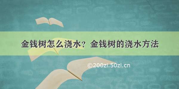 金钱树怎么浇水？金钱树的浇水方法