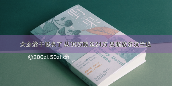 大众终于低头了 从30万跌至24万 果断放弃汉兰达