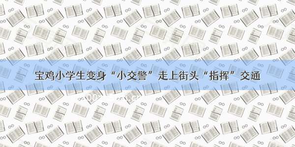 宝鸡小学生变身“小交警”走上街头“指挥”交通