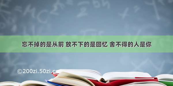 忘不掉的是从前 放不下的是回忆 舍不得的人是你