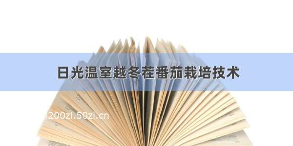 日光温室越冬茬番茄栽培技术