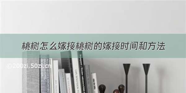 桃树怎么嫁接桃树的嫁接时间和方法