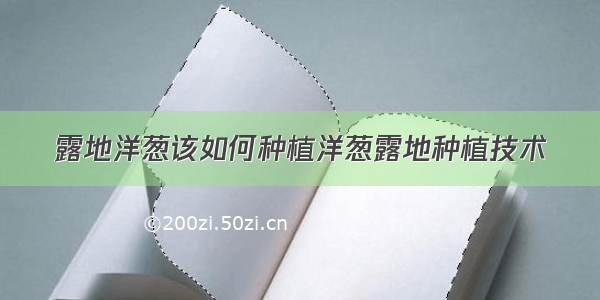 露地洋葱该如何种植洋葱露地种植技术