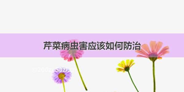 芹菜病虫害应该如何防治