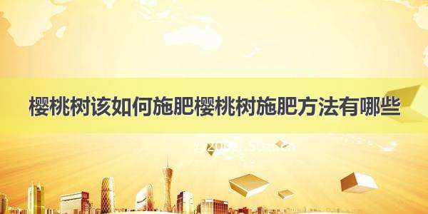 樱桃树该如何施肥樱桃树施肥方法有哪些