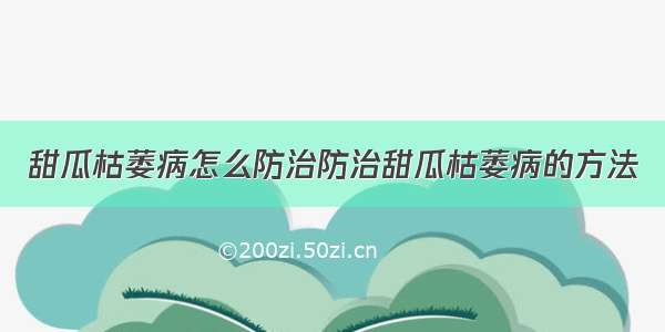 甜瓜枯萎病怎么防治防治甜瓜枯萎病的方法