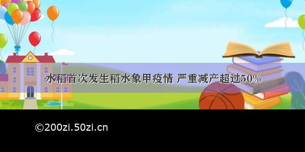 水稻首次发生稻水象甲疫情 严重减产超过50%