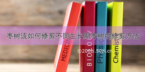 枣树该如何修剪不同生长期枣树的修剪方法