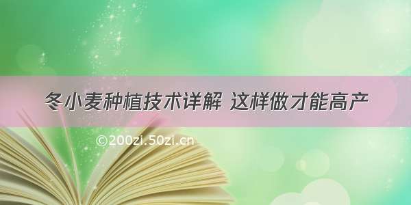 冬小麦种植技术详解 这样做才能高产