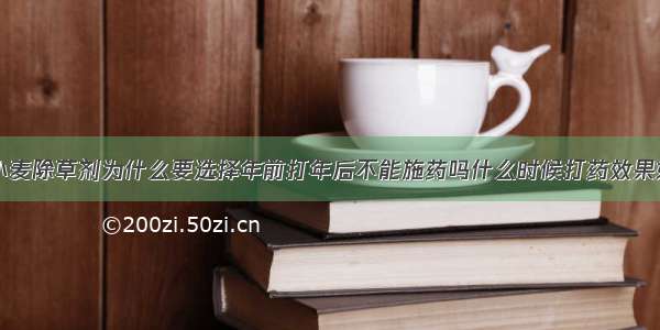 小麦除草剂为什么要选择年前打年后不能施药吗什么时候打药效果好