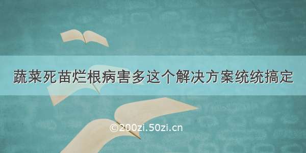 蔬菜死苗烂根病害多这个解决方案统统搞定