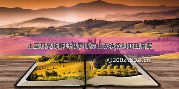 土耳其总统呼吁俄罗斯停止支持叙利亚政府军