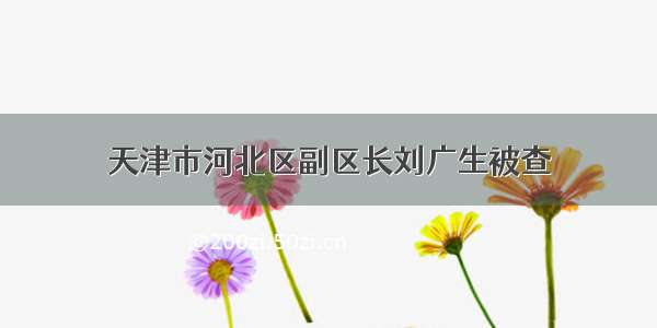 天津市河北区副区长刘广生被查