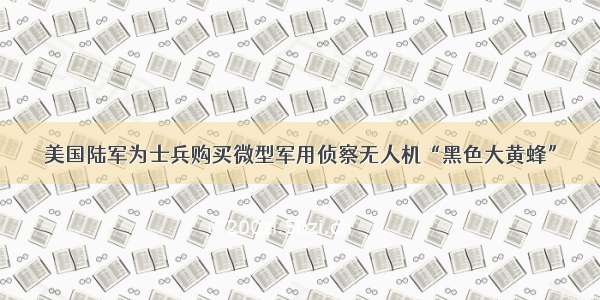 美国陆军为士兵购买微型军用侦察无人机“黑色大黄蜂”