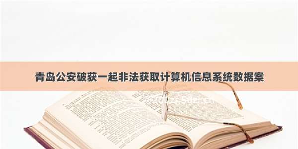 青岛公安破获一起非法获取计算机信息系统数据案