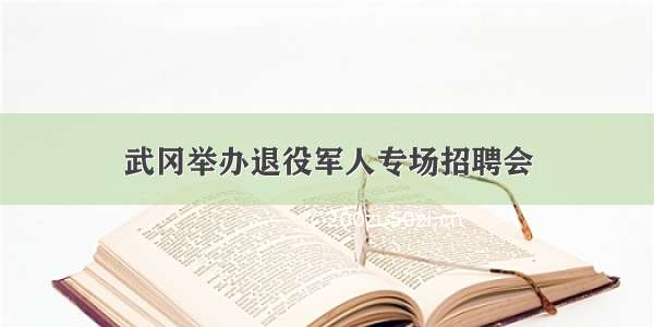 武冈举办退役军人专场招聘会