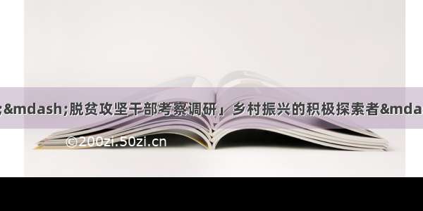 「脱贫攻坚群英谱——脱贫攻坚干部考察调研」乡村振兴的积极探索者——记保靖县迁陵镇