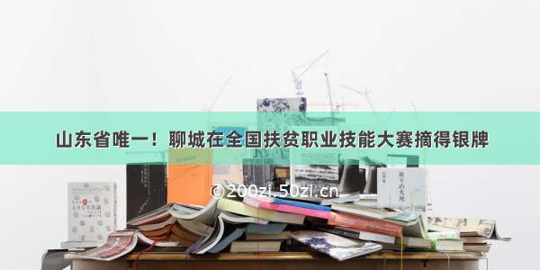 山东省唯一！聊城在全国扶贫职业技能大赛摘得银牌